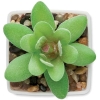MO-MO2854-06 - Image 3