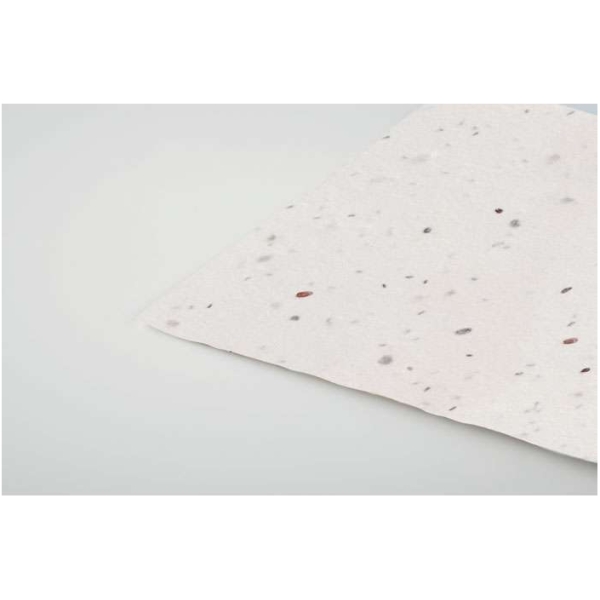 MO-MO2993-06 - Image 2