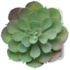 MO-MO2853-06 - Image 3