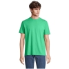 MO-S03981-EO-3XL - Image 1