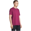 MO-S03981-PA-3XL - Image 3
