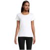 MO-S03581-WH-3XL - Image 1