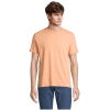 MO-S03981-PH-3XL - Image 1