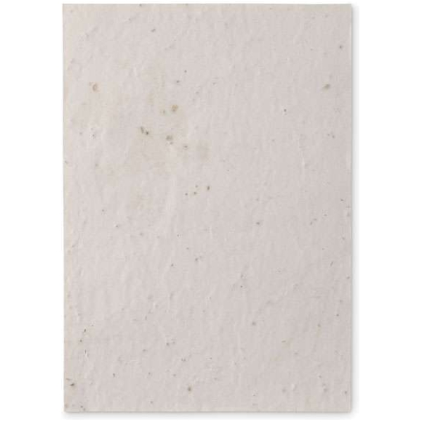 MO-MO6915-06 - Image 2