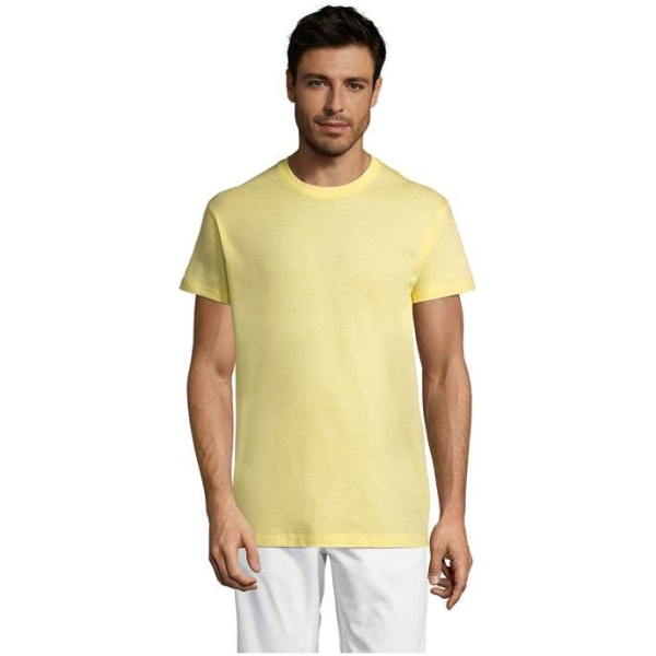 MO-S11380-PY-3XL - Image 1