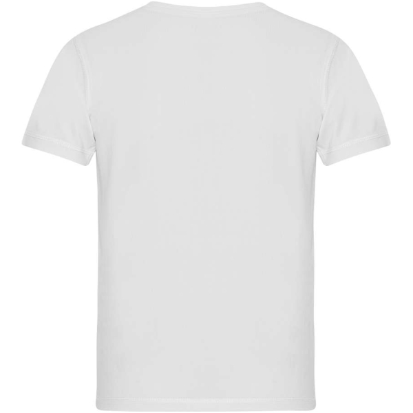 NE-R300010142 - Image 2