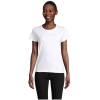 MO-S03579-WH-3XL - Image 1