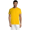 MO-S11380-GO-4XL - Image 1