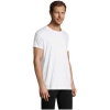MO-S00553-WH-L - Image 3